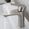 Grifo Lavabo Acero Pulido ESSENTIALS HIBERA GRIFERS