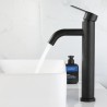 Grifo Lavabo Caño Alto Negro ALTAVUM COAL GRIFERS